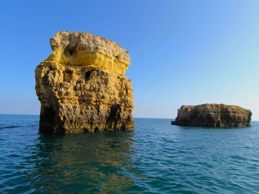 Dolphin Safari and Cave Tour in Vilamoura - Guide service and family comfort