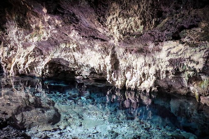 Dolphin tour, Jozani Forest, Jambiani Kuza Cave, Paje Beach &The Rock restaurent - A quiet hour at Paje Beach
