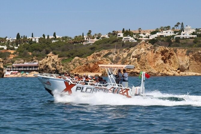Dolphin Watching and Caves Cruise - Why the Coast Looks Best From the Water