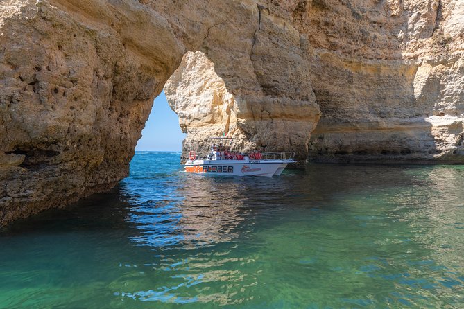 Dolphin Watching and Caves Cruise - Is the $37.49 Price Good Value?