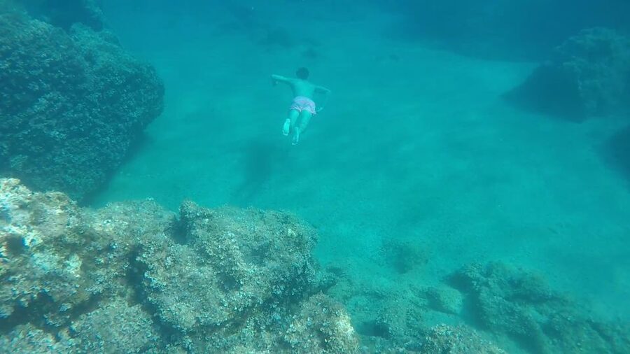 Dubrovnik:All inclusive Private Tour with Blue Cave Visit - Is the $352 price good value?