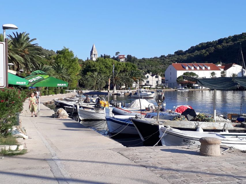 Dubrovnik:All inclusive Private Tour with Blue Cave Visit - Who will enjoy this most