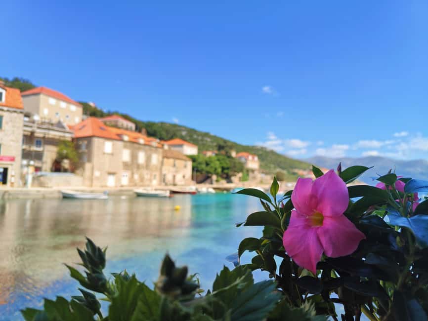 Dubrovnik: Blue Cave & Elaphiti Islands Full-Day Boat Tour - Koločep and the car-free village of Donje Čelo