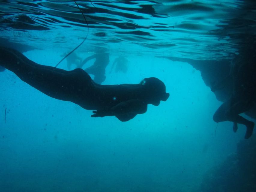 Dubrovnik: Blue Cave & Sunj Beach Boat Tour with Drinks - The Three Green Caves and clear Adriatic water