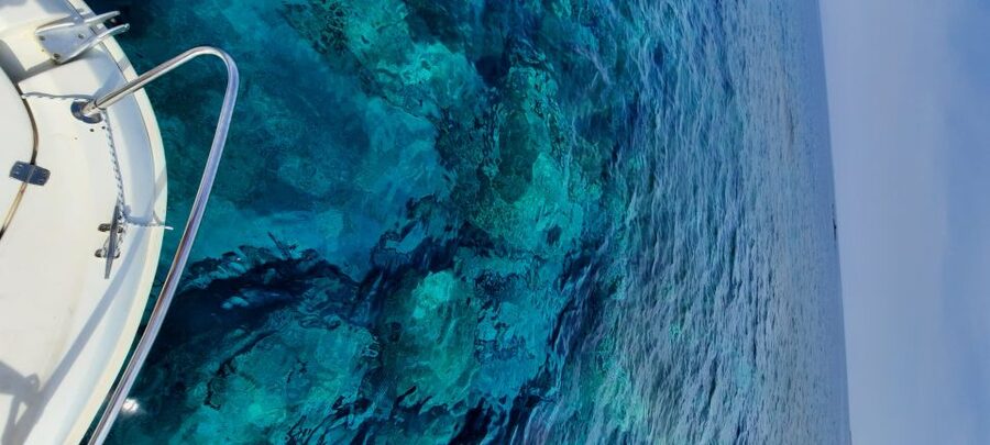 Dubrovnik: Blue Cave Tour by Speedboat - Dubrovnik’s caves in a four-hour outing