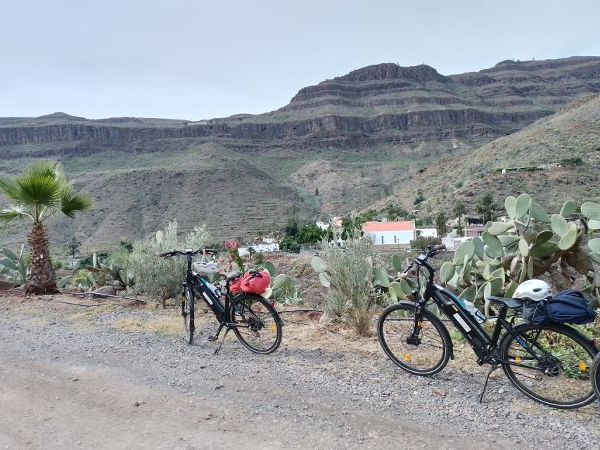 E-Bike Mountain Tour in Natural Park +Option Tapas in a Cave - Key points at a glance