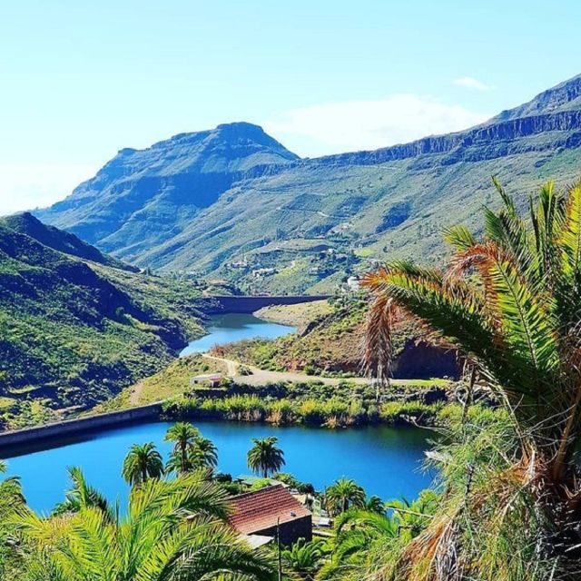 E-Bike Mountain Tour in Natural Park +Option Tapas in a Cave - The cave bar and a drink with a story
