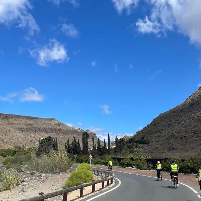 E-Bike Mountain Tour in Natural Park +Option Tapas in a Cave - Reading the plants at Parque del Sur