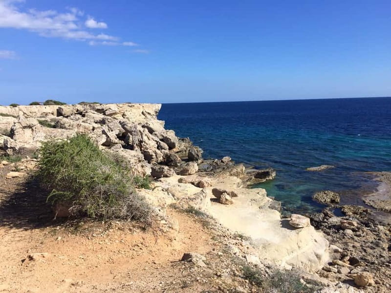 East Coast National Park: Half-Day Caves Jeep Safari - Who should book this safari