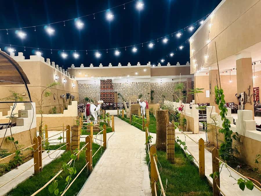 Edge of The World Riyadh,Camel Ride ,Bat Cave Visit & Dinner - Dinner turns a sightseeing trip into a cultural evening