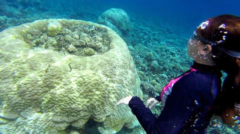 El Nido: Island Hopping Tour B Cudognong Cave & More - Popolkan Beach for swimming and snorkeling
