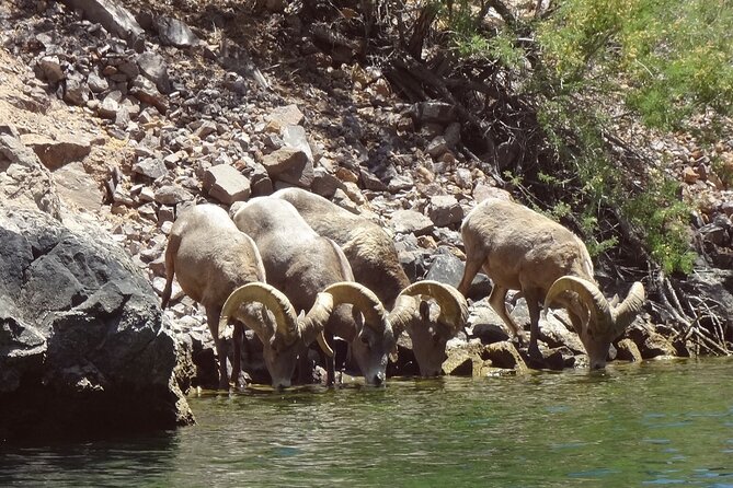 Emerald Cave & Black Canyon Kayak Tour with Vegas Pickup - Booking details worth handling early