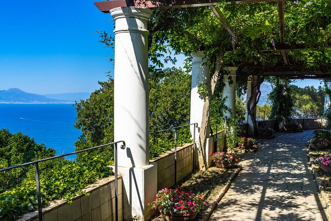 Exclusive Capri, Anacapri & Blue Grotto Private Tour from Naples - Getting back to Naples without guesswork