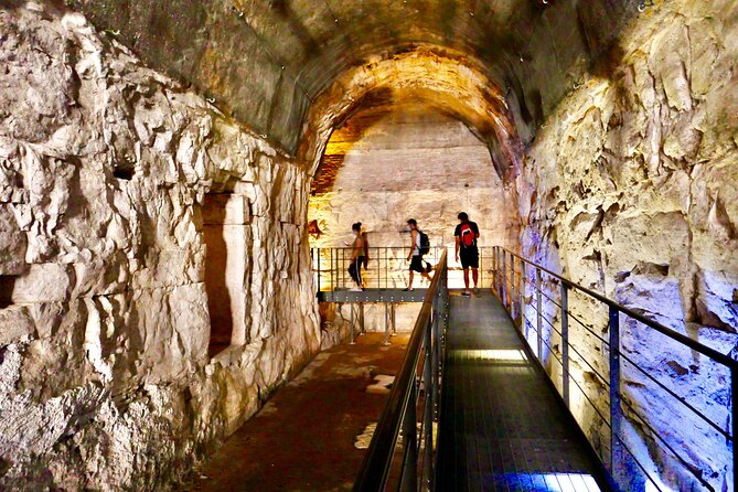 Expert Guided Tour of Colosseum Arena OR Underground, and Forum - Why the Arena or Underground choice matters