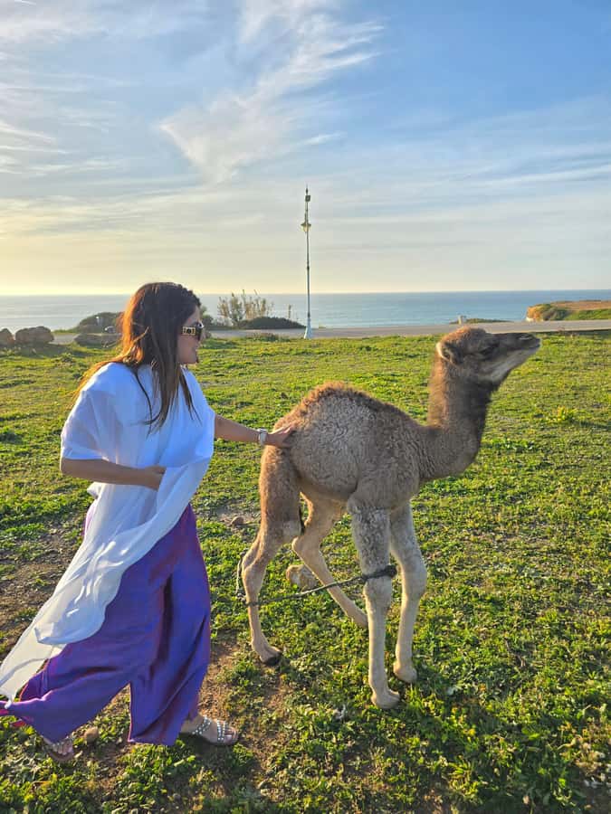 Explore Tangier: Cap Spartel, Cave, & Camel Ride Adventure - Leaving Tangier in an air-conditioned van