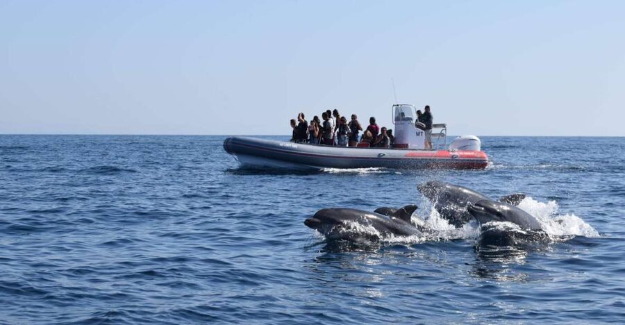 From Albufeira: Benagil Caves and Dolphins Guided Boat Tour - Benagil caves from a smaller boat