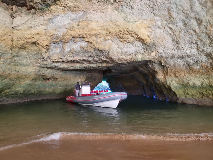 From Albufeira: Benagil Caves and Dolphins Guided Boat Tour - Searching for dolphins in open water