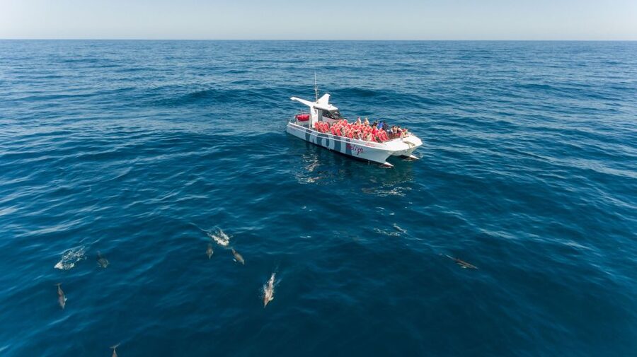 From Albufeira: Dolphins and Caves 2.5-Hour Boat Trip - Key points to know before boarding