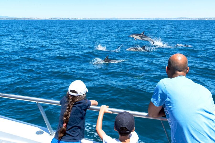 From Albufeira: Dolphins and Caves 2.5-Hour Boat Trip - Who should book this trip