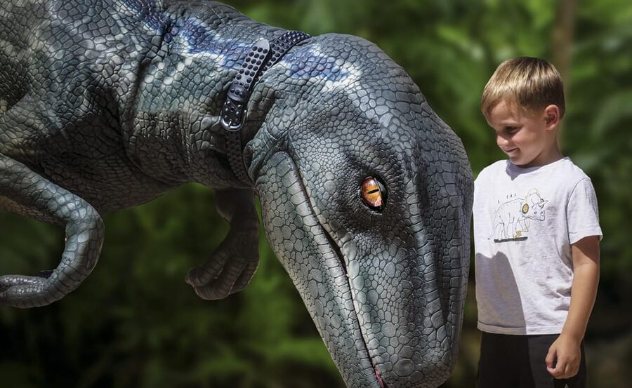 From Alcúdia: Dinosaurland and Hams' Caves Half-Day Trip - Why dinosaurs and caves work in one half-day