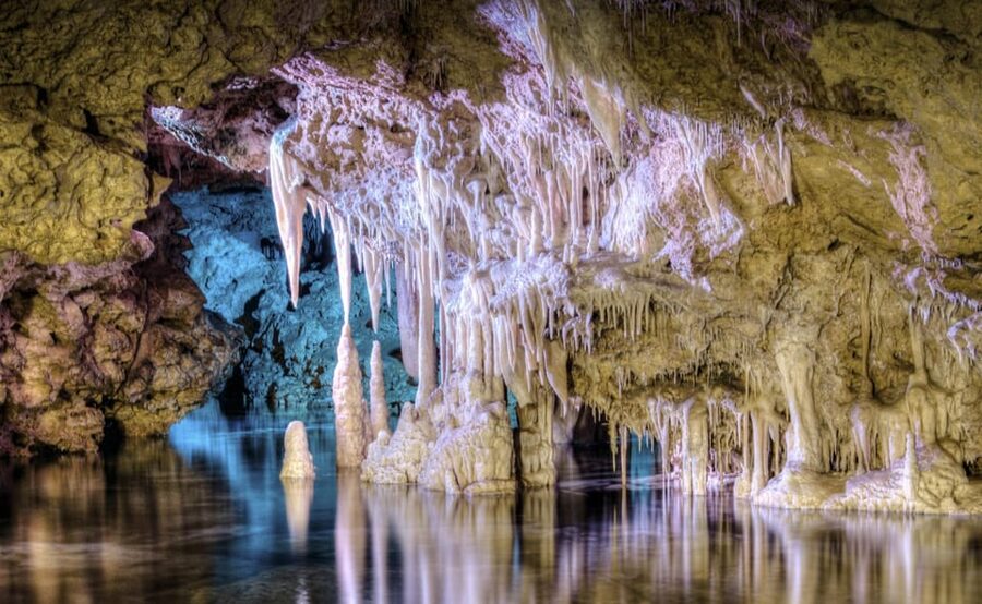 From Alcúdia: Dinosaurland and Hams' Caves Half-Day Trip - Dinosaurland near Manacor