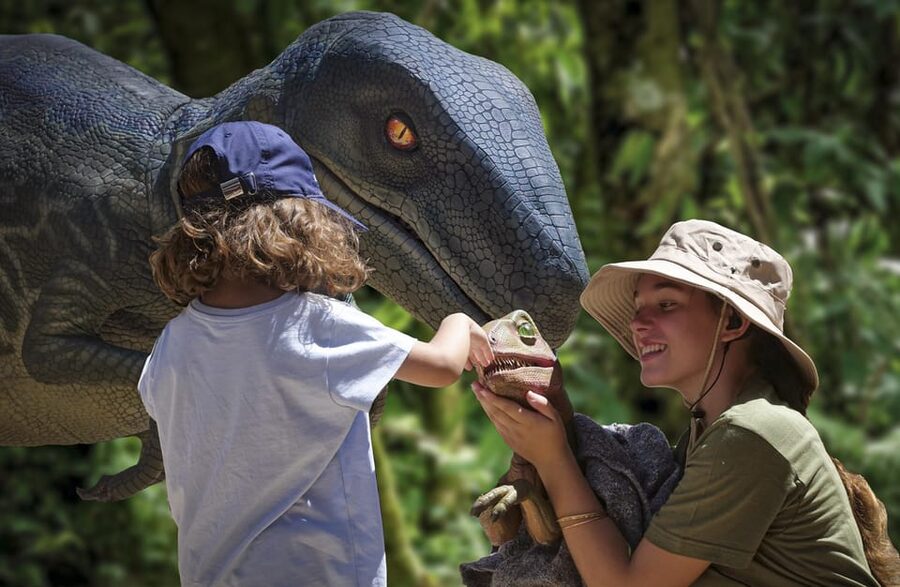 From Alcúdia: Dinosaurland and Hams' Caves Half-Day Trip - How the schedule affects your day