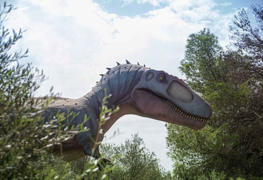 From Alcúdia: Dinosaurland and Hams' Caves Half-Day Trip - What $68 includes, and what it does not