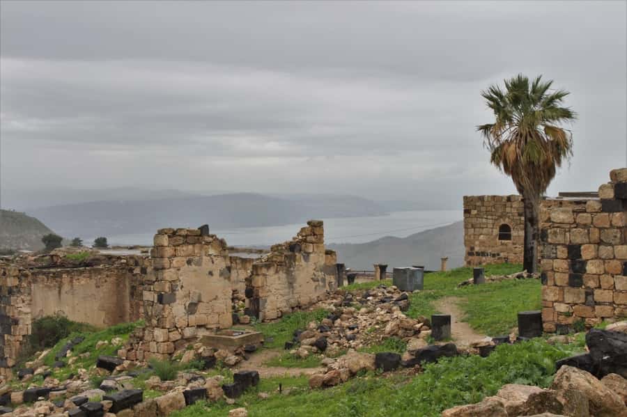From Amman: Jerash, Umm Qais, and Jesus' Cave Private Trip - Why this northern Jordan day trip is worth your time