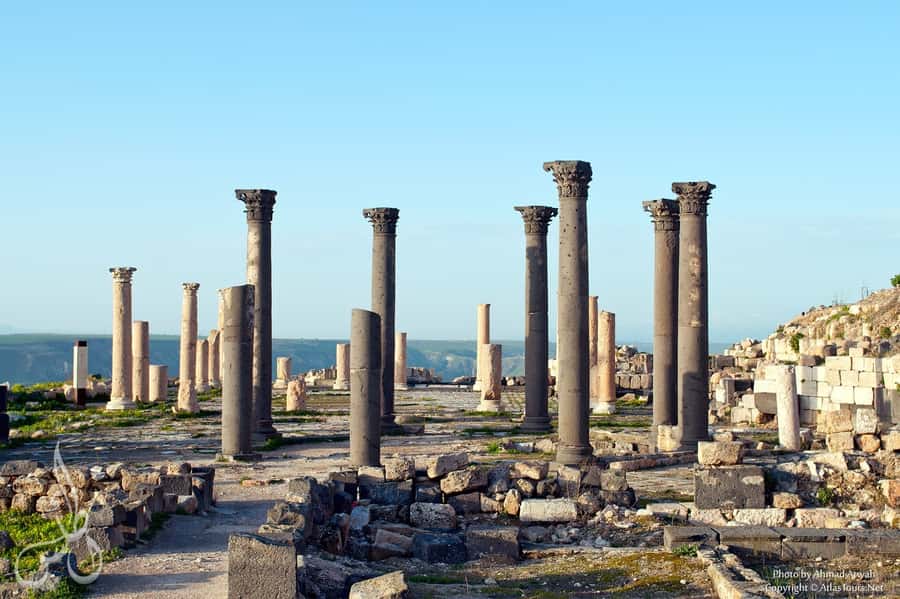 From Amman: Jerash, Umm Qais, and Jesus' Cave Private Trip - Who should book this private trip