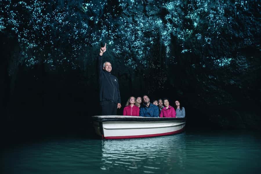 From Auckland: Day Trip to Waitomo Glow Worm Caves - Key points to know before booking