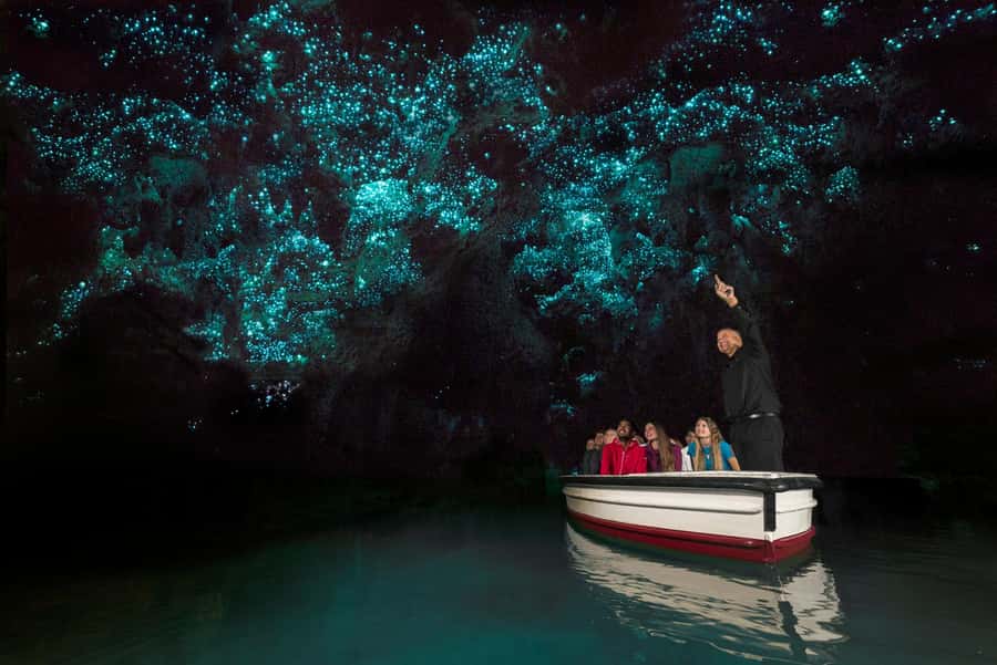 From Auckland: Day Trip to Waitomo Glow Worm Caves - Inside Waitomo Glowworm Cave