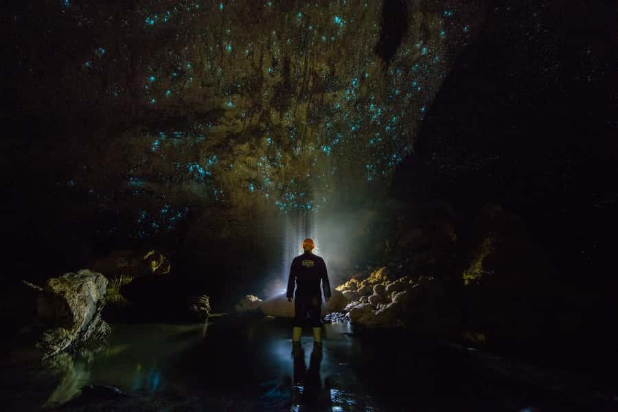 From Auckland: Day Trip to Waitomo Glow Worm Caves - The boat ride beneath the titiwai