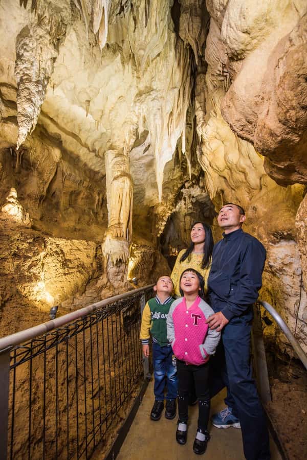 From Auckland: Day Trip to Waitomo Glow Worm Caves - Should you book the Waitomo day trip?
