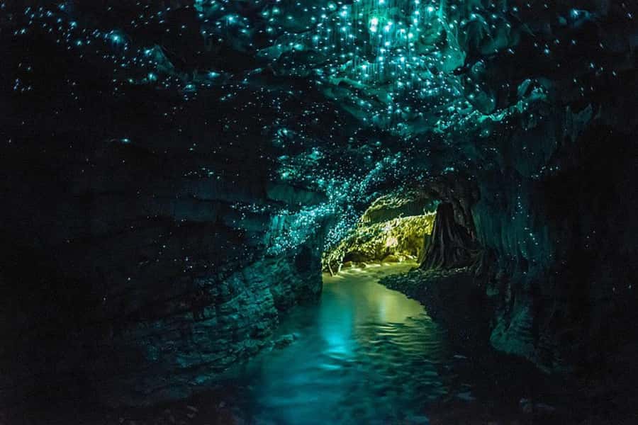 From Auckland: Day Trip to Waitomo Glow Worm Caves - A short pause at Waitomo Homestead