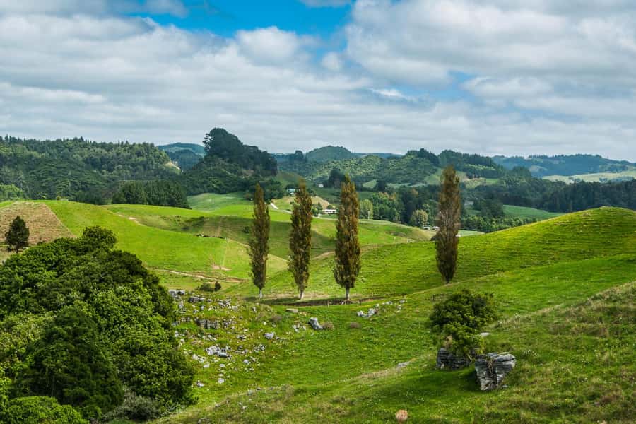 From Auckland: Hobbiton and Waitomo Day Tour with Lunch - Key points at a glance