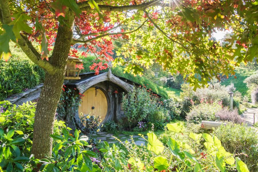 From Auckland: Hobbiton and Waitomo Day Tour with Lunch - Why Hobbiton deserves the first half of your day
