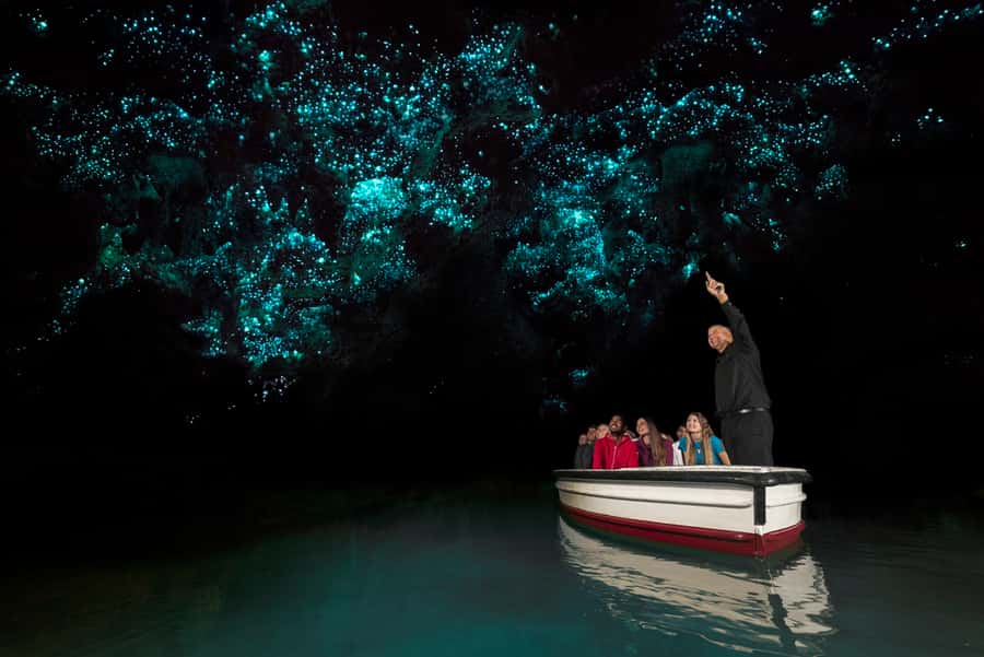 From Auckland: Two-Day Hobbiton, Rotorua, Waitomo Caves Tour - The road from Auckland to Rotorua