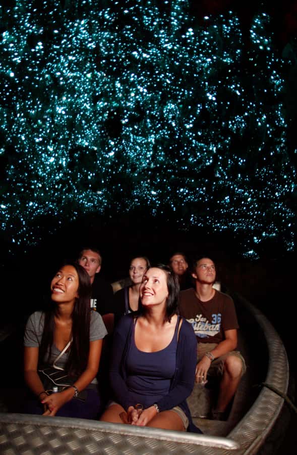 From Auckland: Waitomo Caves and Kiwi House Group Tour - Why Waitomo is worth the long ride