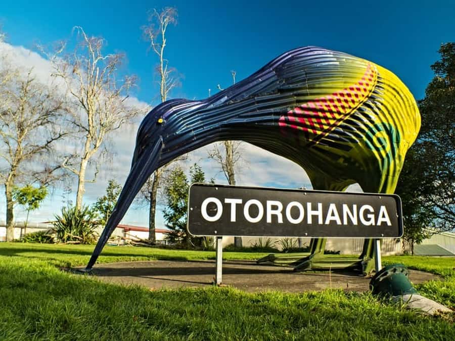 From Auckland: Waitomo Caves and Kiwi House Group Tour - Who should book this day trip?