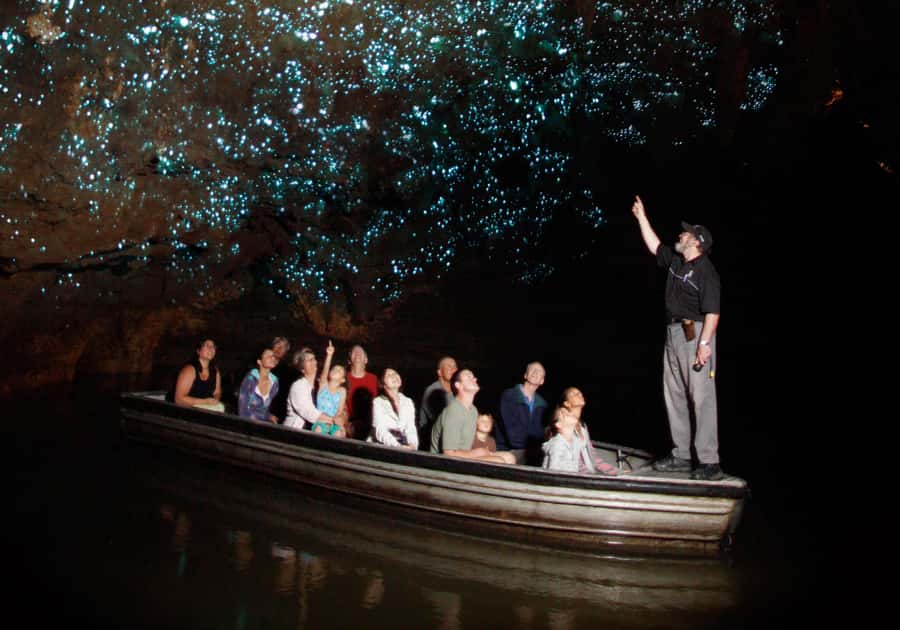 From Auckland: Waitomo Caves and Kiwi House Group Tour - The Auckland to Waikato drive