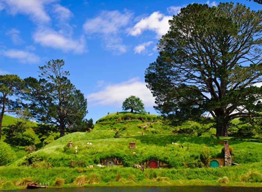 From Auckland: Waitomo & Hobbiton Bus Tour with Lunch - Key points to know before booking