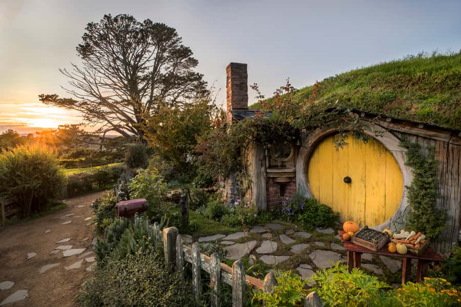 From Auckland: Waitomo & Hobbiton Bus Tour with Lunch - Why this Auckland day trip works