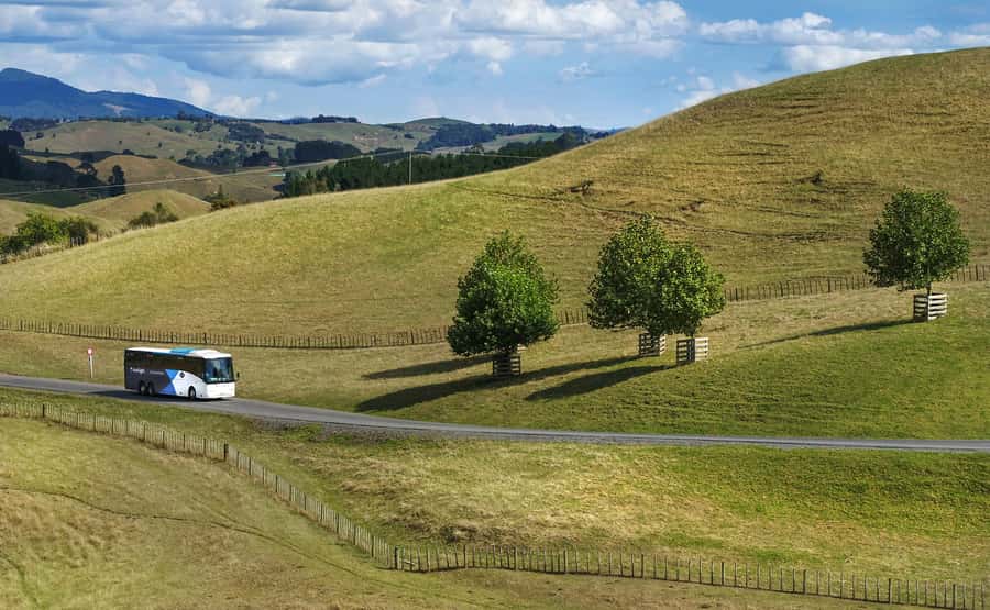 From Auckland: Waitomo & Hobbiton Bus Tour with Lunch - Hobbiton, the Shire, and a very polished film set