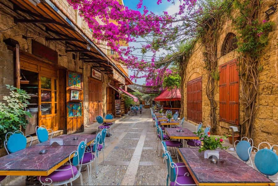 From Beirut: Jeita Grotto, Harissa & Byblos Private Day Tour - Who should book this day