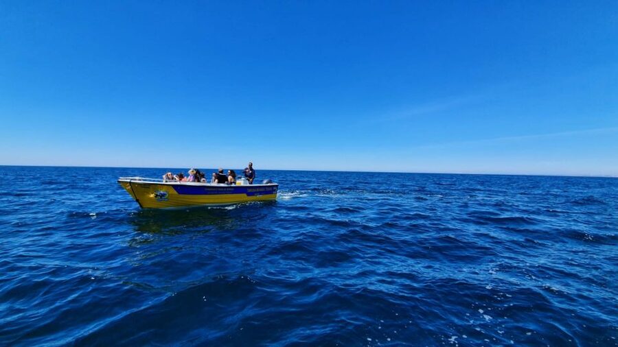 From Benagil: Benagil Cave & Marinha Beach Express Tour - Key points at a glance