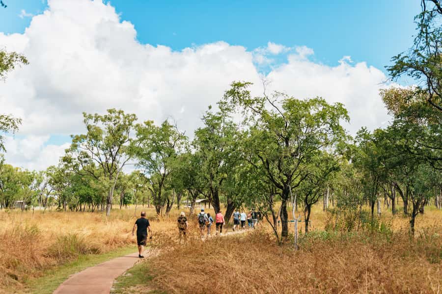 From Cairns: Chillagoe Caves and Outback Full-Day Tour - The road to Chillagoe is part of the experience