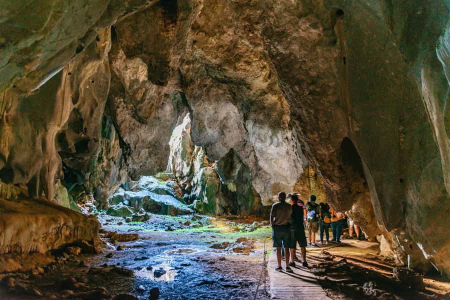From Cairns: Chillagoe Caves and Outback Full-Day Tour - Skybury Coffee Plantation makes a smart first stop