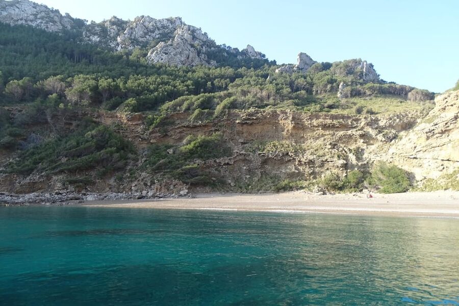 From Can Picafort: Dolphin Watching and Cave Boat Trip - What the Can Picafort dolphin trip is really like