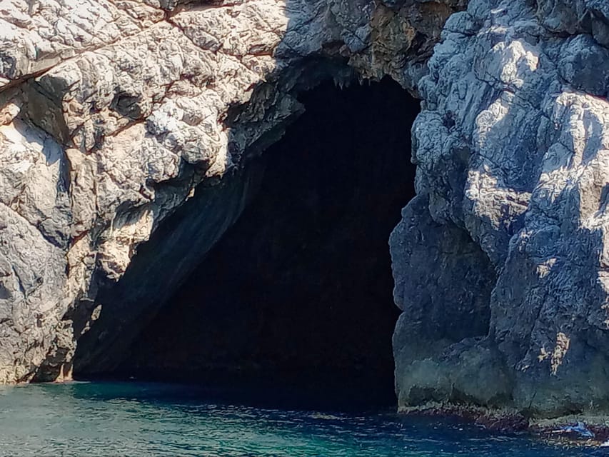 From Can Picafort: Dolphin Watching and Cave Boat Trip - Cap de Pinar, cliffs, and the sea cave
