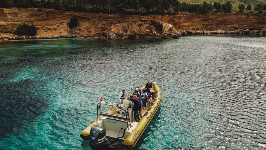 From Can Picafort: Dolphin Watching and Cave Boat Trip - Reaching the dolphins takes patience